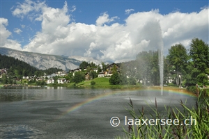 Regenbogen